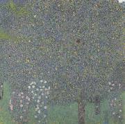 Gustav Klimt Rose Bushes Under the Trees (mk20) oil painting reproduction